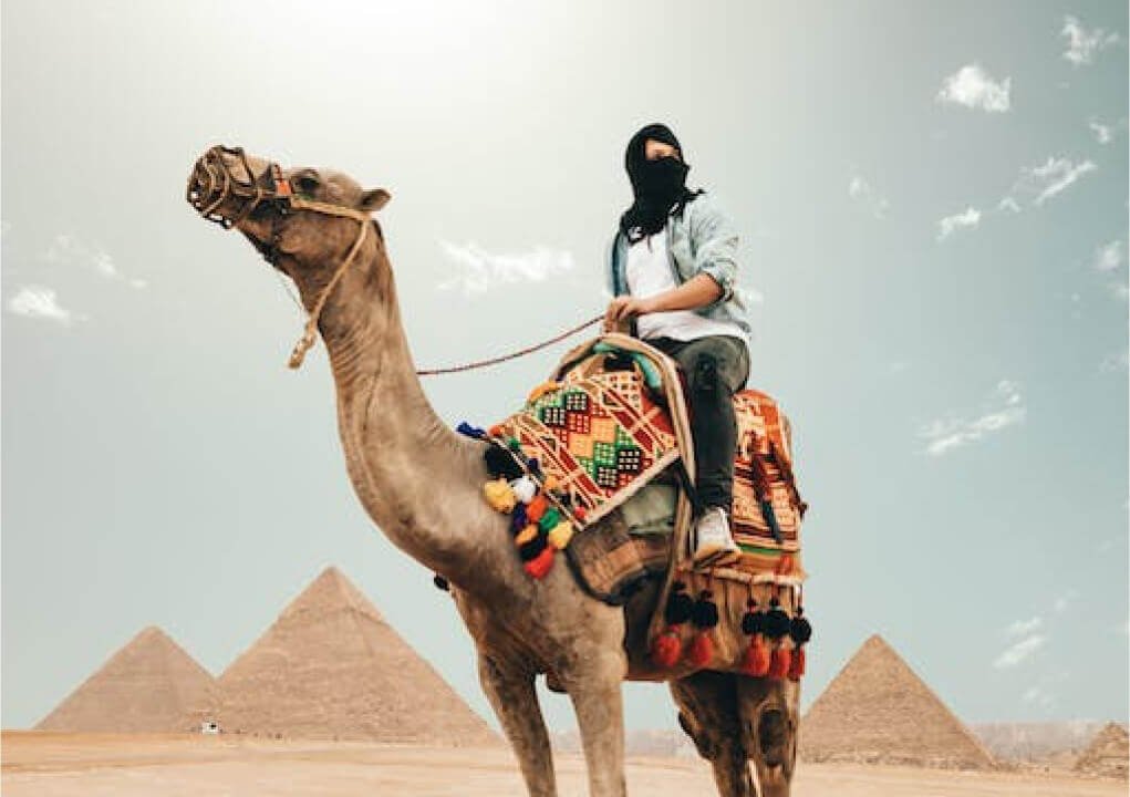 How To Create Dynamic Donut Charts With TailwindCSS And React